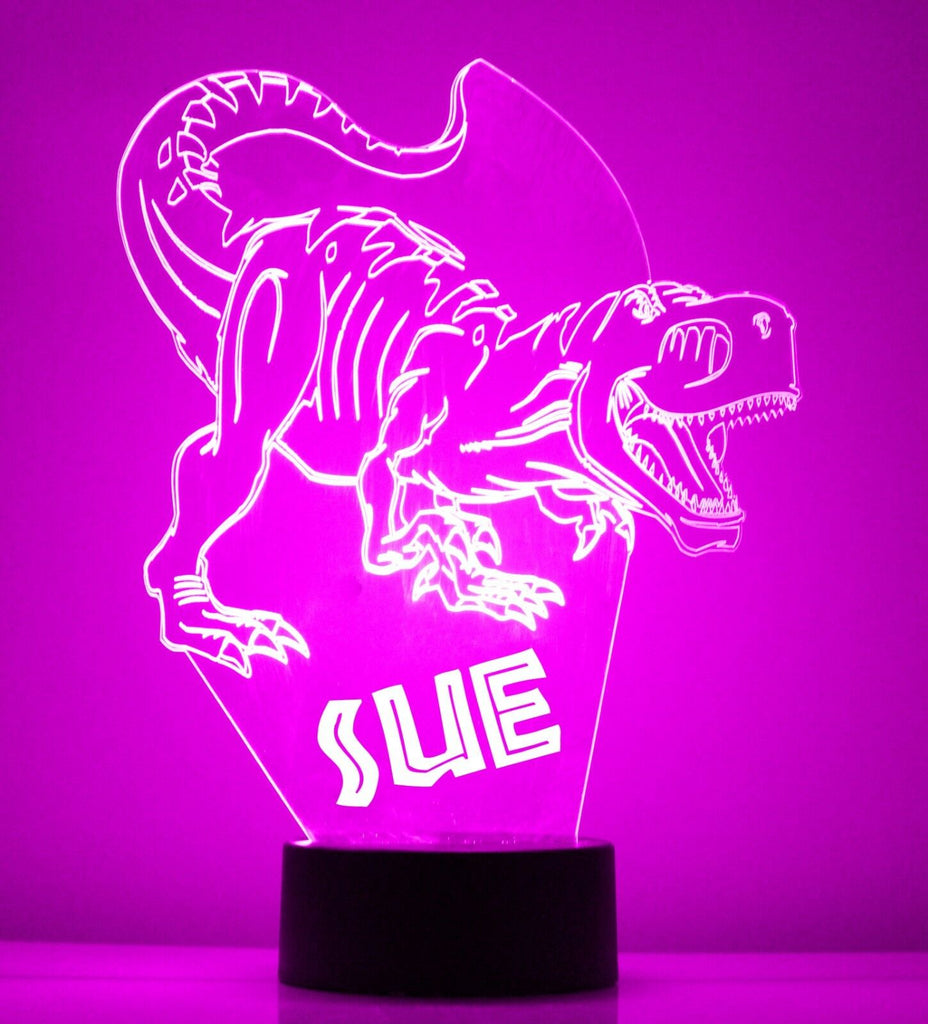 Dinosaur Pink Acrylic LED Night Light Lamp - Mirrormagicgifts.com